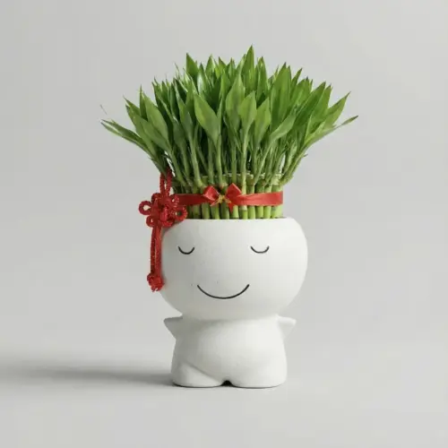 微笑大娃娃富貴滿堂