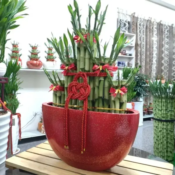 334_2 大屏風五福臨門