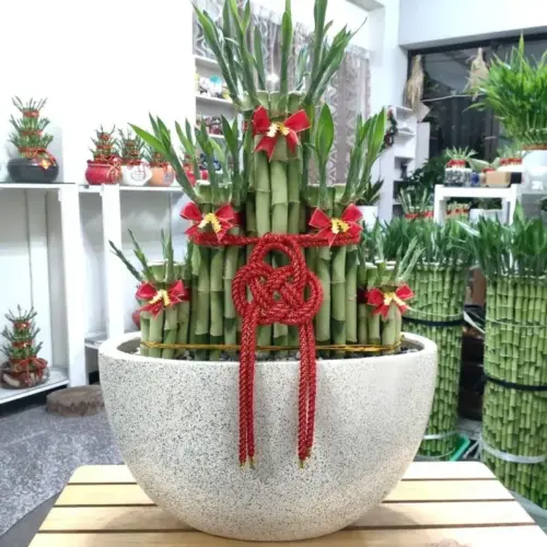 337_0 大屏風五福臨門