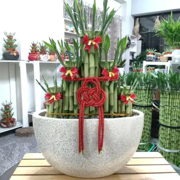 337_0 大屏風五福臨門