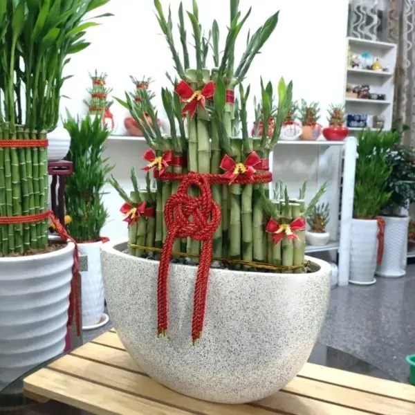 337_2 大屏風五福臨門