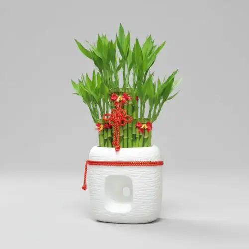 lucky_bamboo_product_shot "回"組合型