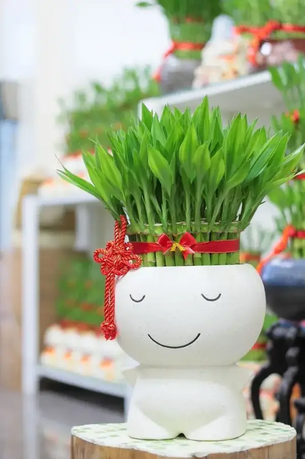 w720 微笑大娃娃富貴滿堂